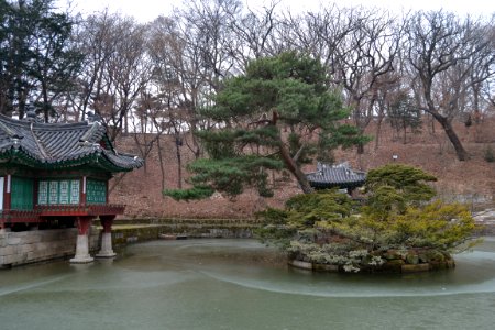seoul flickr (37)