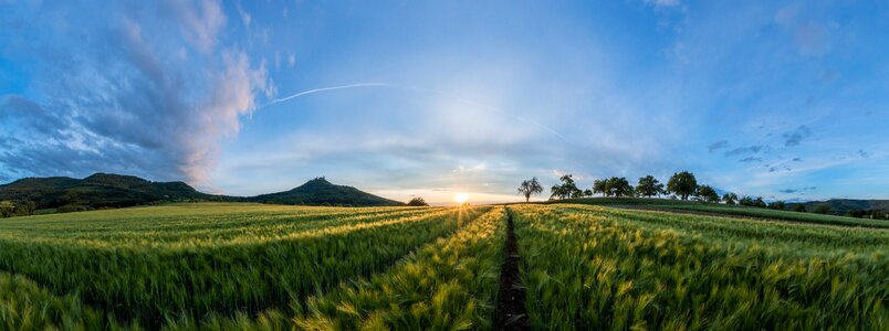 Summer nature cereals