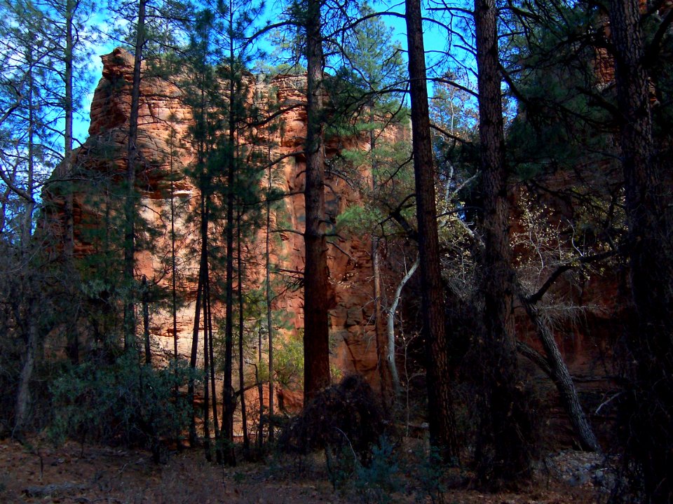 Secret Canyon Trail