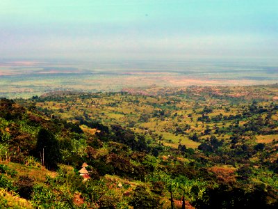 aP1010420
