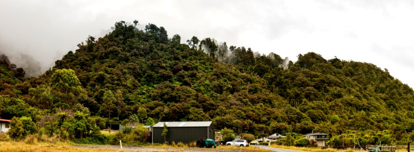 jackson bay