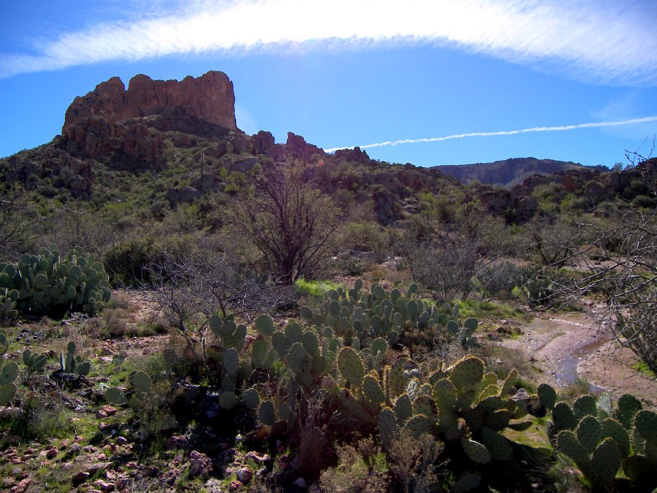 Superstition Wilderness