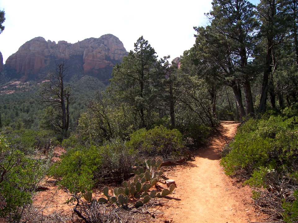 Soldiers Pass Trail