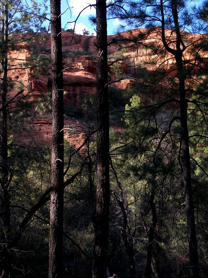 Boynton Canyon Trail