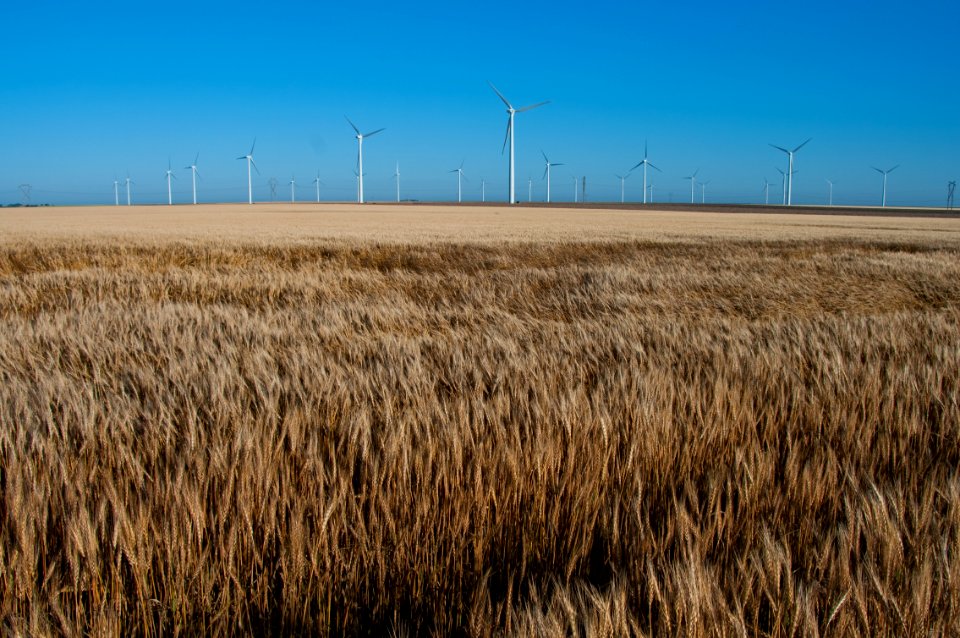 Road Trip: Windmills