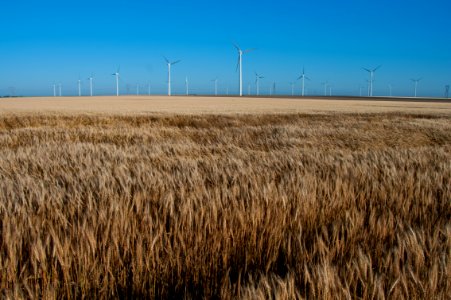 Road Trip: Windmills
