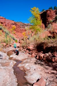 Starlight Canyon photo