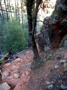 David Miller Trail