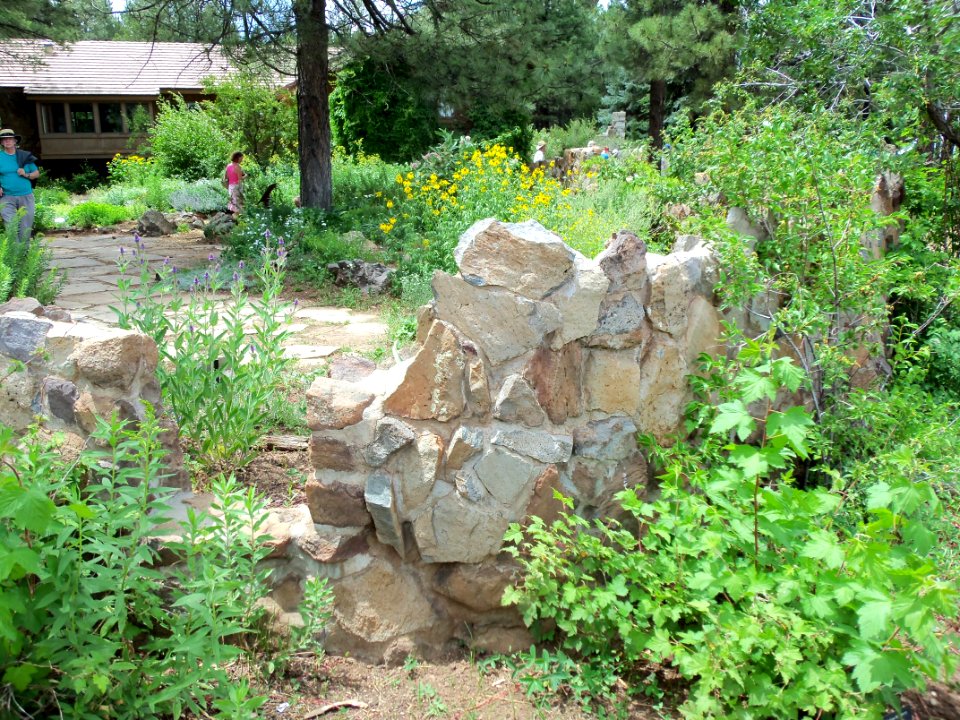 Arboretum at Flagstaff Penstemon Festival
