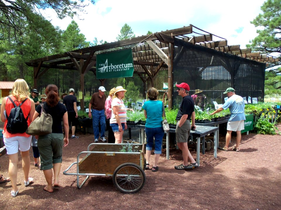 Arboretum at Flagstaff Penstemon Festival
