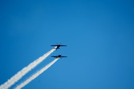 Halcones FACh