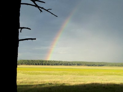 Rogers Lake