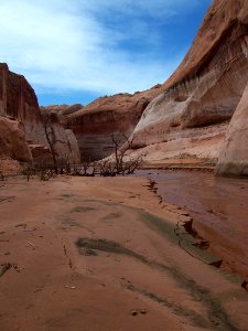 Lake Powell - Davis Gulch 2005