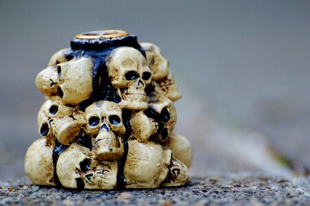 Skull skull bone weird photo