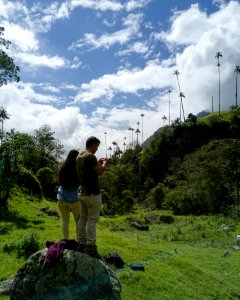 Salento Quindio - Valle del Cocora