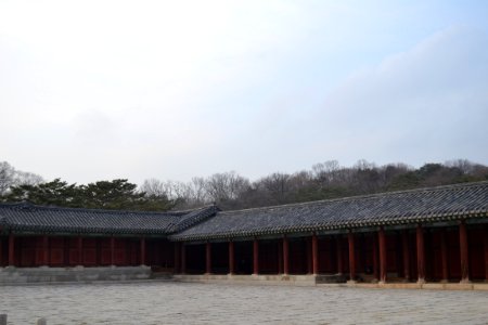 seoul flickr (80)