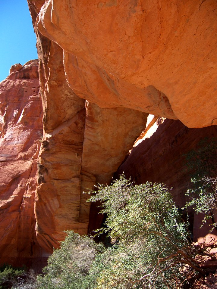 Sedona: Fay Canyon