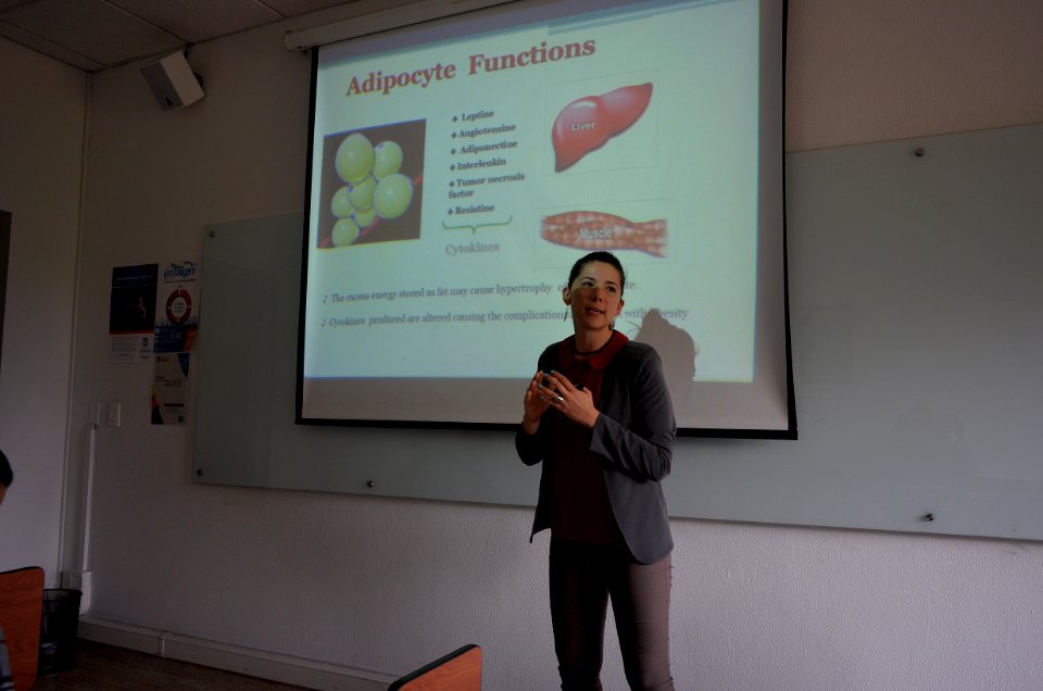 English gramma presentation