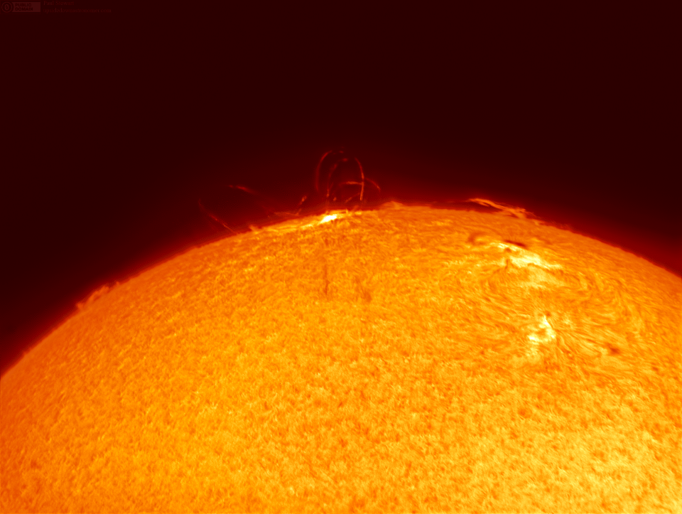 Coronal loops on the  Sun
