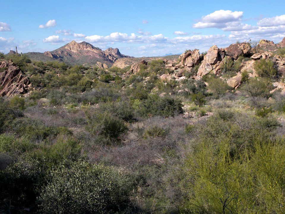 Superstition Wilderness: Dutchmans Trail