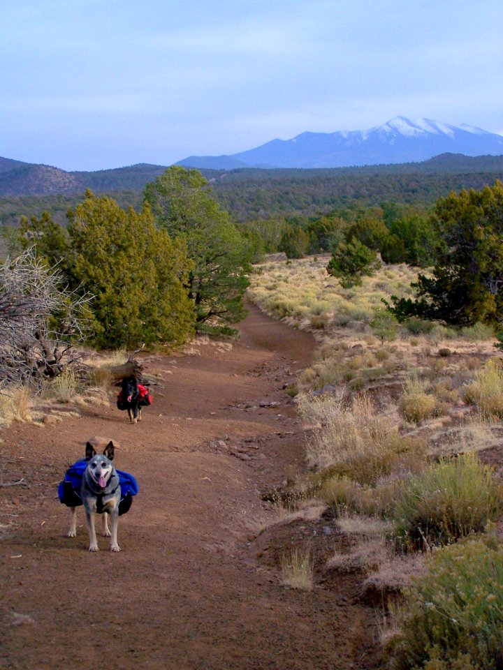 Red Mountain Trail
