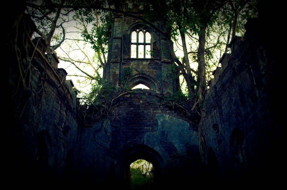 An Abandoned House photo