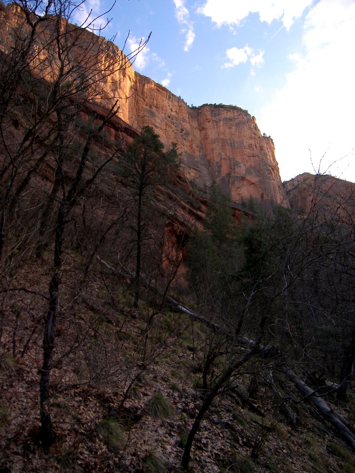 Boynton Canyon Trail