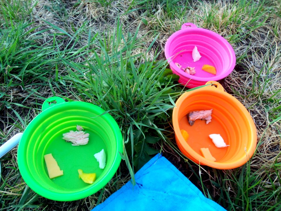 Picnic Dinner at Schultz Tank