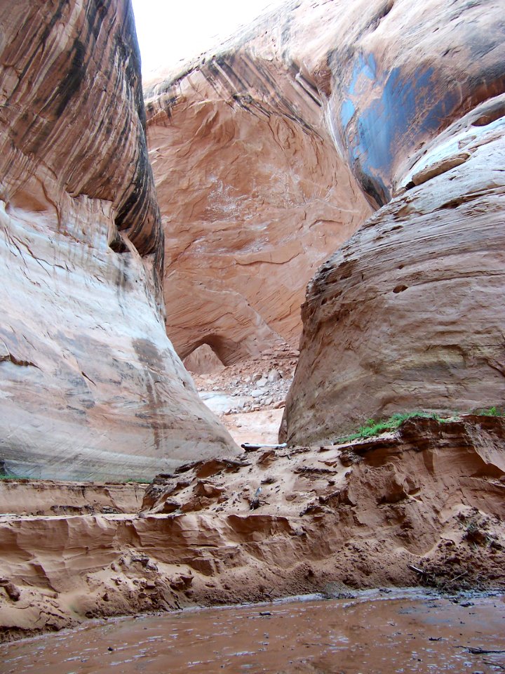 Lake Powell - Davis Gulch 2005