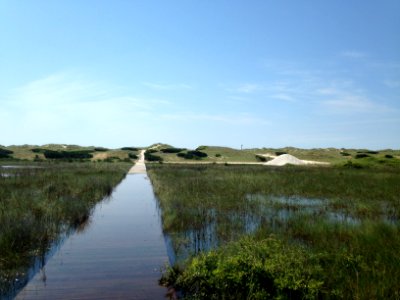 Frisco Campground boardwalk under water