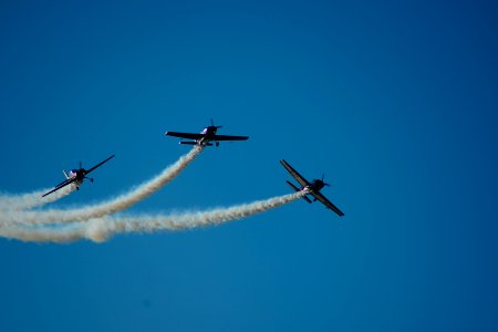 Halcones FACh