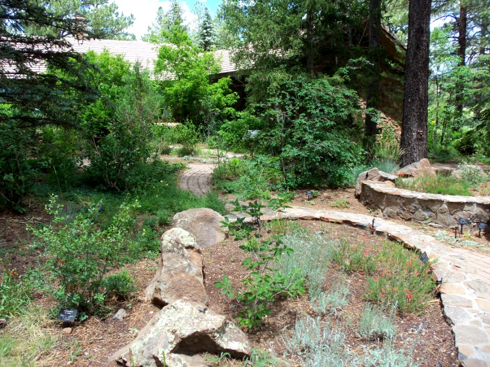 Arboretum at Flagstaff Penstemon Festival