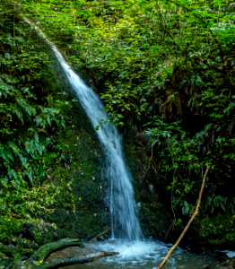 Acland Falls