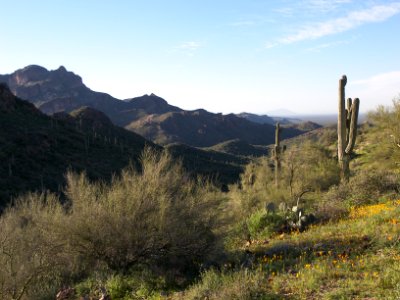 Superstition Wilderness