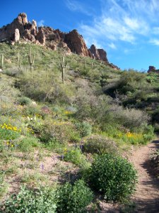 Superstition Wilderness