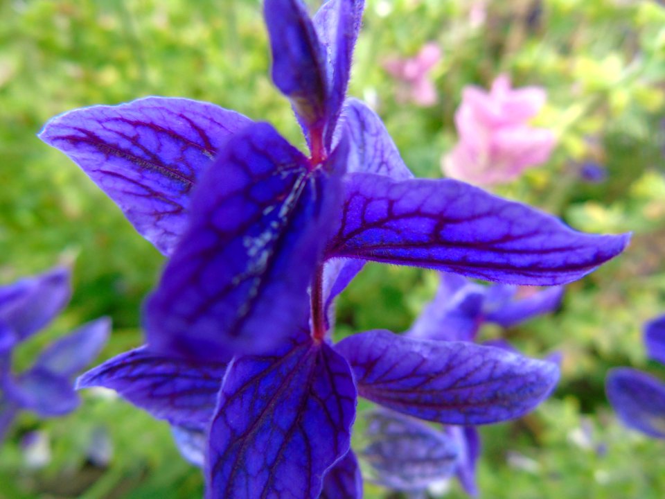 DSC00685