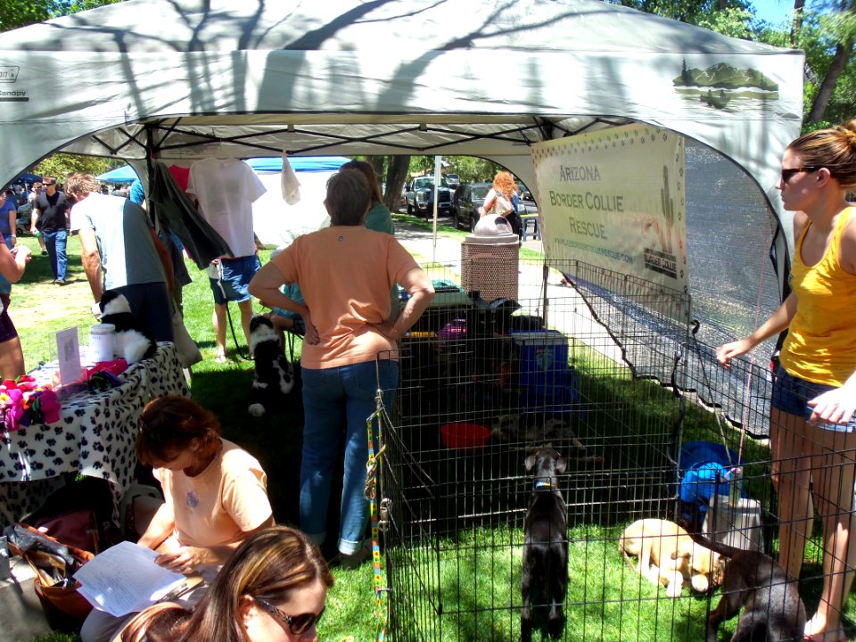 Pets in the Pines