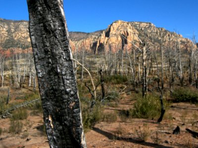 Brins Mesa Trail photo