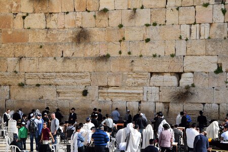Jews jerusalem jew