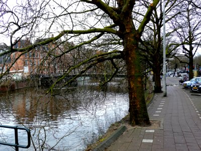 2013.04 - ' A view over empty plane trees along the canal Nassaukade', seen in direction Leidseplein; location between Jordaan and Kinkerbuurt, Amsterdam Oud-West; - urban photography by Fons Heijnsbroek, the Netherlands photo