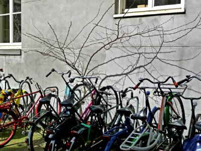 2013.04 - 'A close-up of parked bicycles and gentle branches', in the sun-light of Spring - on the corner of Hoogtekadijk and Matrozenhof, in district Kadijken, city Amsterdam; urban photography, Fons Heijnsbroek photo