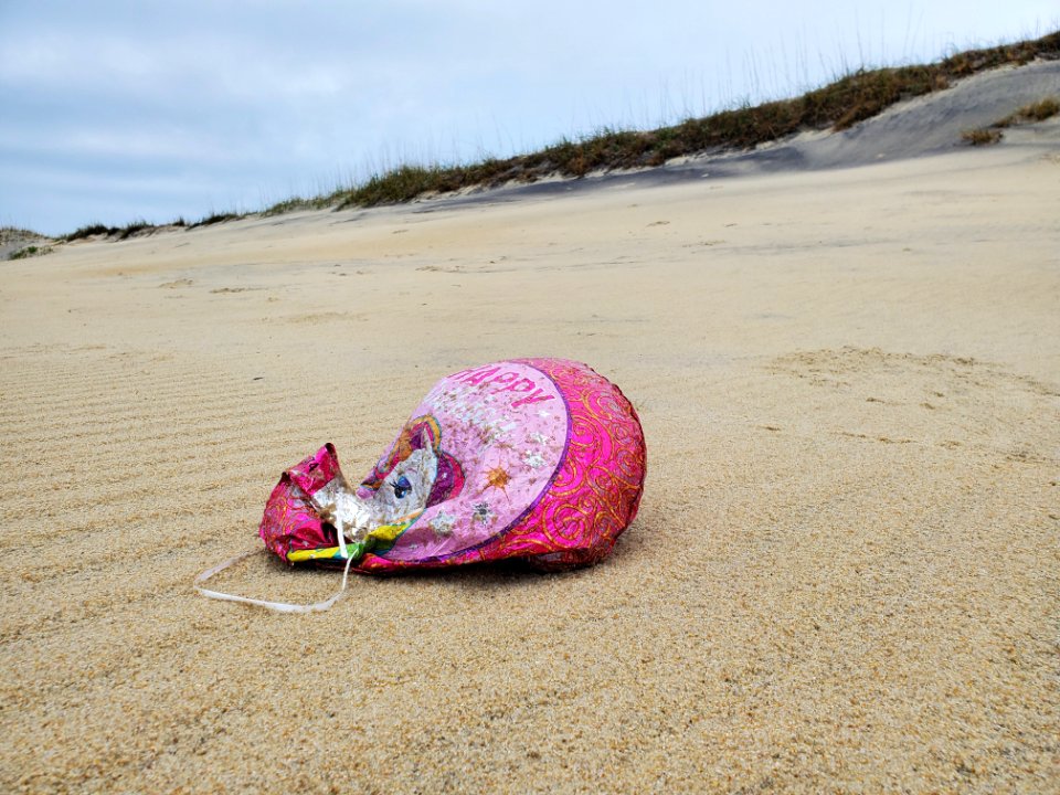 Beach Hazards - Balloon