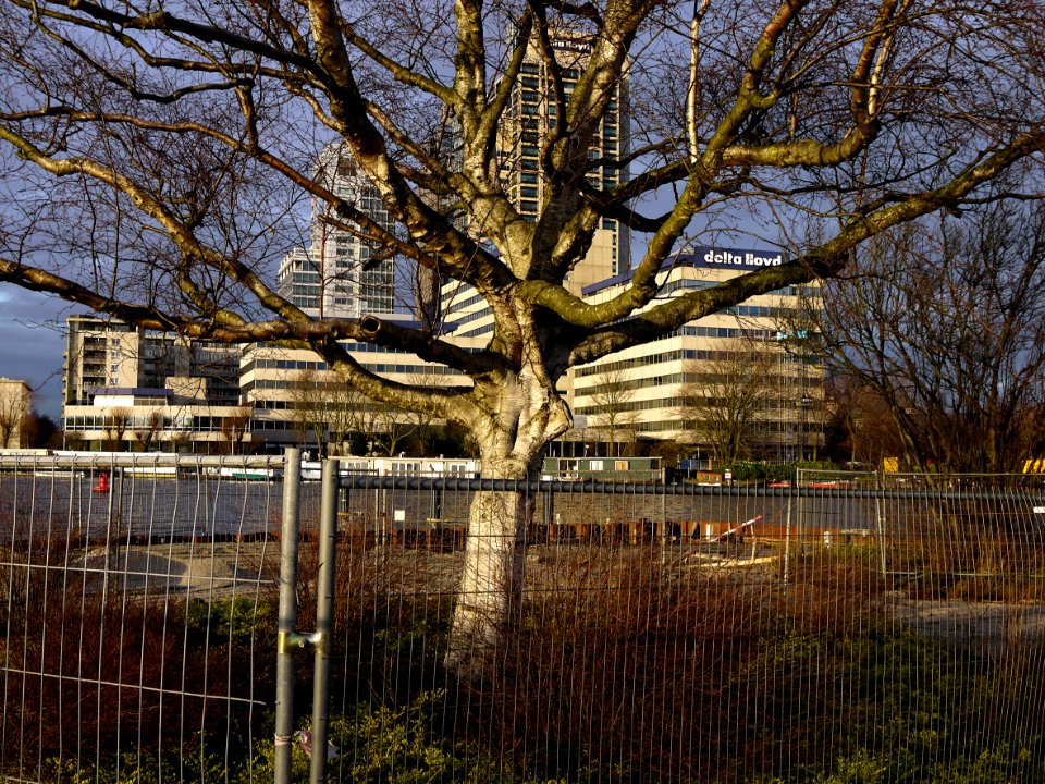 View on Amstelkwartier along Amstel river, with the Mondriaan-tower and Rembrandt-tower in sunlight of late afternoon, location near Amstel station / Omval / Spaklerweg in Amsterdam; - urban photography by Fons Heijnsbroek, the Netherlands, 2013