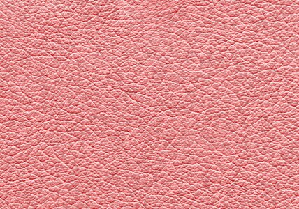 Rosa leather wrinkled