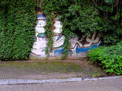 2016.10 - Amsterdam Photo of Street-art - A green growing grave-yard for the last graffiti art; in district Spaarndammerbuurt; geo-tagged free urban picture, in public domain / Commons; Dutch photography, Fons Heijnsbroek, The Netherlands photo