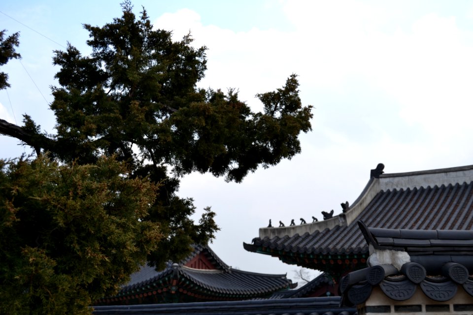 seoul flickr (55)
