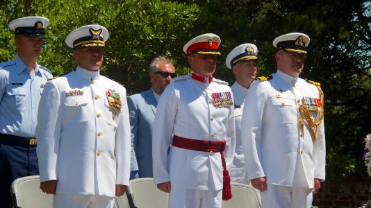 Allies in Ocracoke