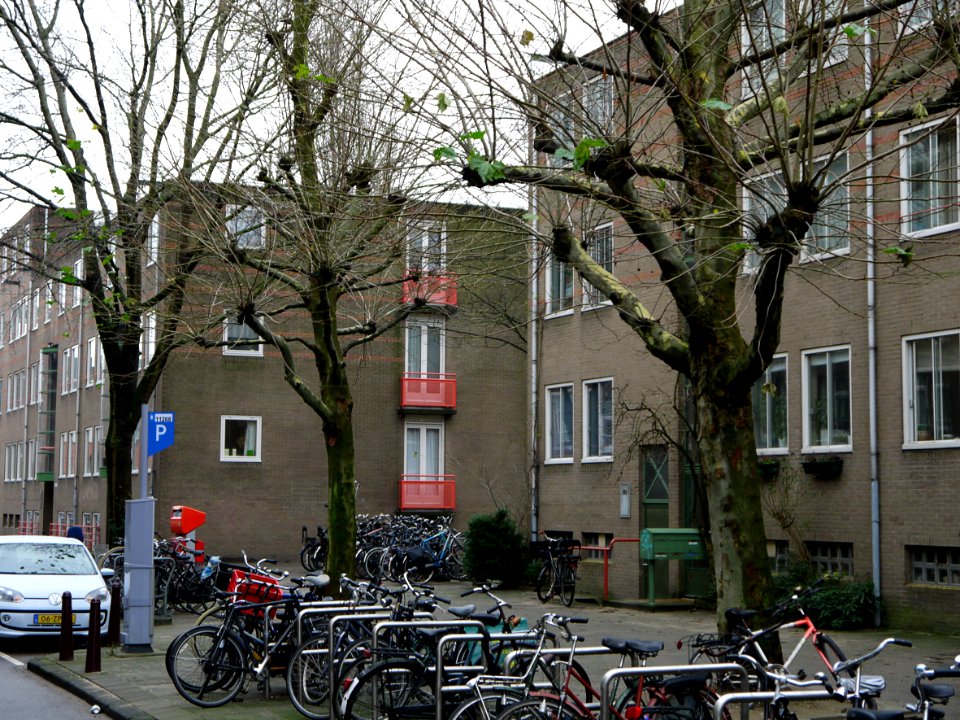 Street-view in Hoogte-Kadijk with pollarded plane trees and residential buildings from the 1980's - in the light of gray DecemberAmsterdam city; - urban photography by Fons Heijnsbroek, the Netherlands, 2013