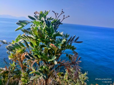 10/11 Febbraio Weekend a Piombino e Salivoli
