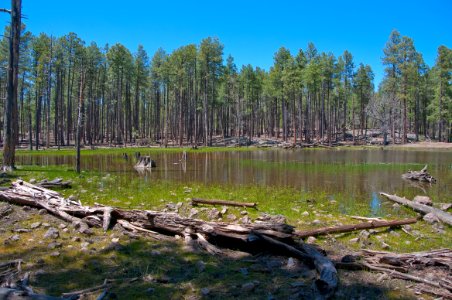 Lost Lake photo